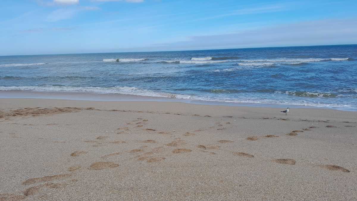 Le Spiagge Più Belle di Giulianova: Un Paradiso Sulla Costa Adriatica